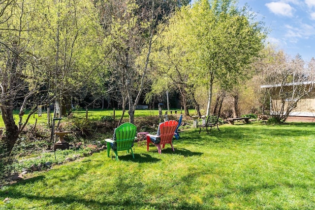 11900 Hwy 116, Guerneville, CA 95446 - view of yard