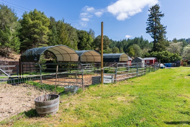 11900 Hwy 116, Guerneville, CA 95446 - view of yard with an outdoor structure