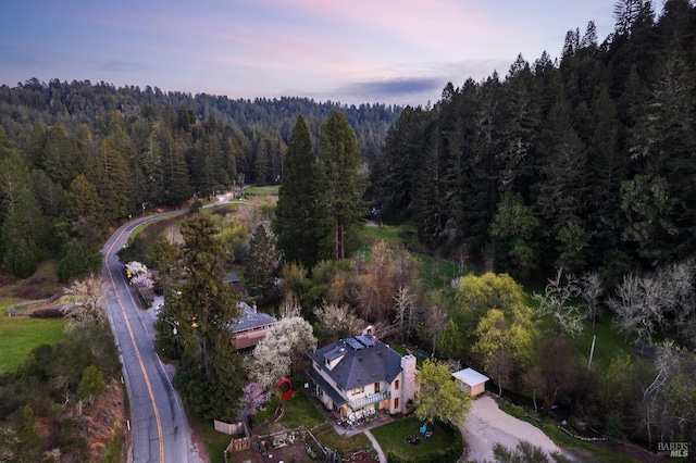 11900 Hwy 116, Guerneville, CA 95446 - bird's eye view with a forest view