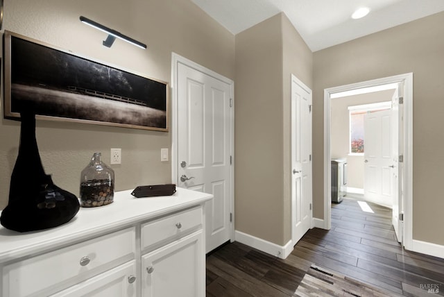 bar featuring baseboards and dark wood-style flooring