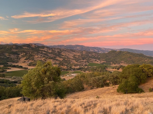 mountain view