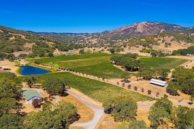 birds eye view of property featuring a water and mountain view and a rural view