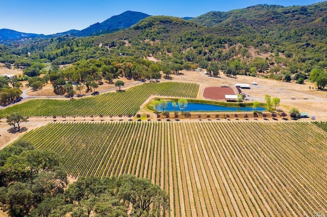 aerial view with a water and mountain view and a rural view