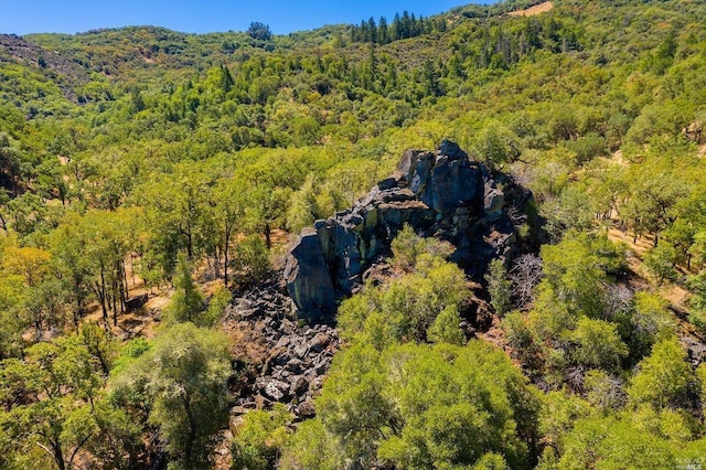 birds eye view of property featuring a wooded view
