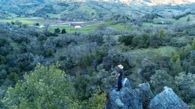 drone / aerial view