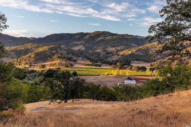 mountain view featuring a rural view