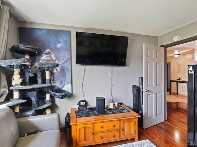 living room featuring hardwood / wood-style floors
