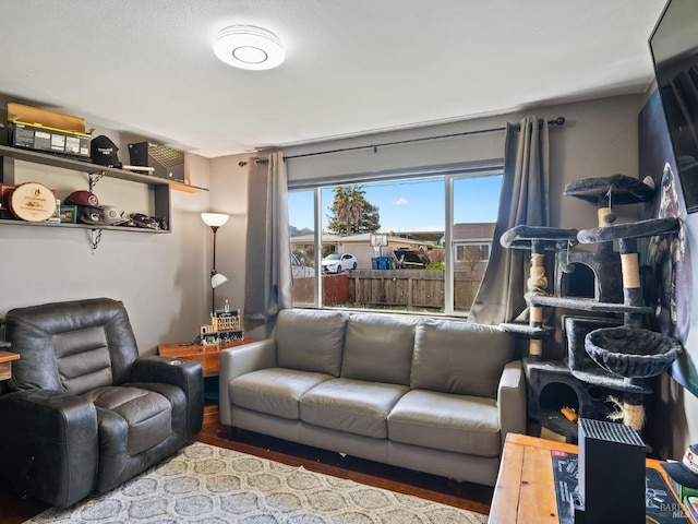 living area featuring wood finished floors