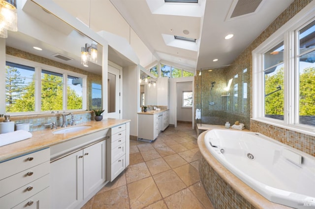 bathroom with plenty of natural light, visible vents, a shower stall, and a sink
