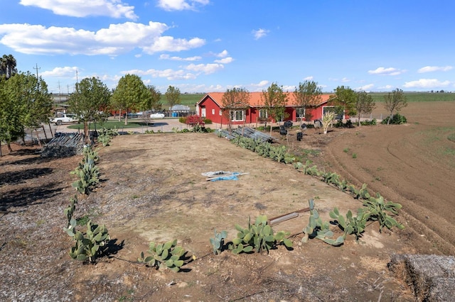 19810 S Spruce Rd, Los Banos, CA 93635 - view of yard