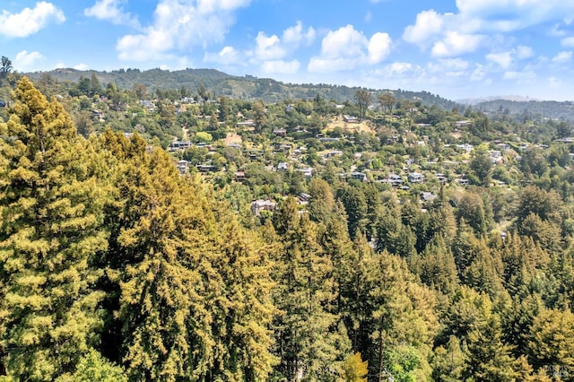 421 Rose Ave, Mill Valley, CA 94941 - bird's eye view of a mountainous background and a forest