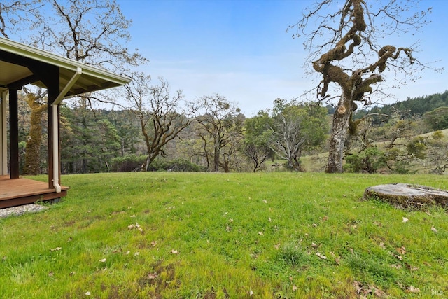 8401 Brandywine Dr, Ukiah, CA 95482 - view of yard