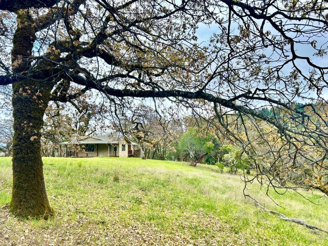 8401 Brandywine Dr, Ukiah, CA 95482 - view of yard