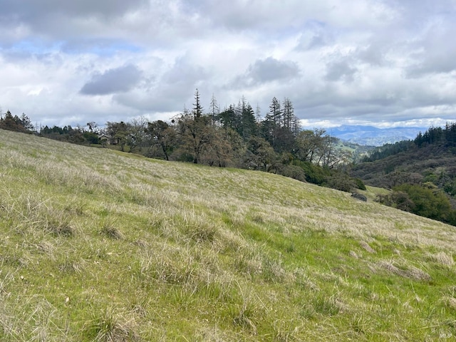 8401 Brandywine Dr, Ukiah, CA 95482 - view of landscape
