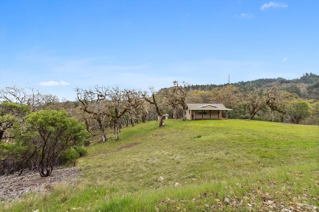8401 Brandywine Dr, Ukiah, CA 95482 - view of yard with a rural view