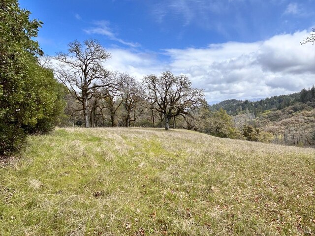 8401 Brandywine Dr, Ukiah, CA 95482 - view of nature featuring a wooded view