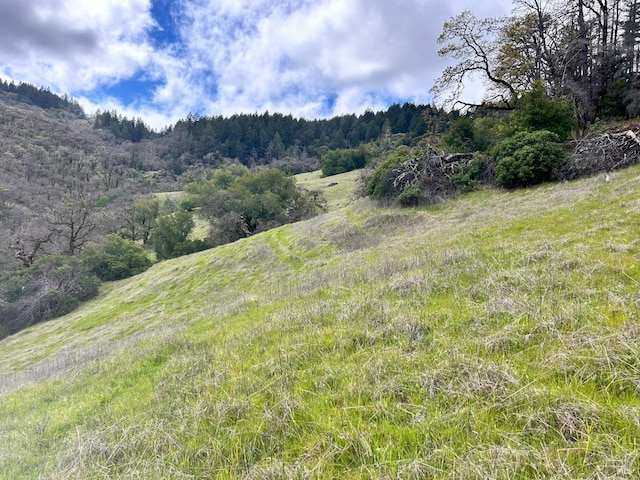 8401 Brandywine Dr, Ukiah, CA 95482 - view of local wilderness with a wooded view
