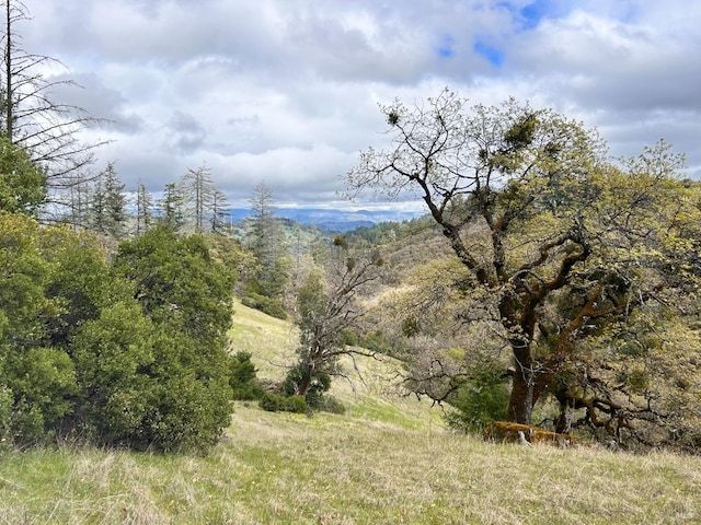 8401 Brandywine Dr, Ukiah, CA 95482 - view of mountain feature with a view of trees