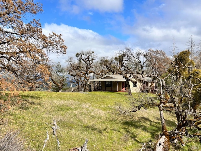 8401 Brandywine Dr, Ukiah, CA 95482 - view of yard