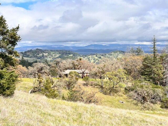 8401 Brandywine Dr, Ukiah, CA 95482 - mountain view featuring a forest view