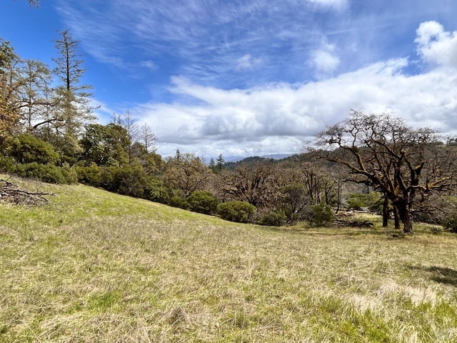 8401 Brandywine Dr, Ukiah, CA 95482 - view of landscape