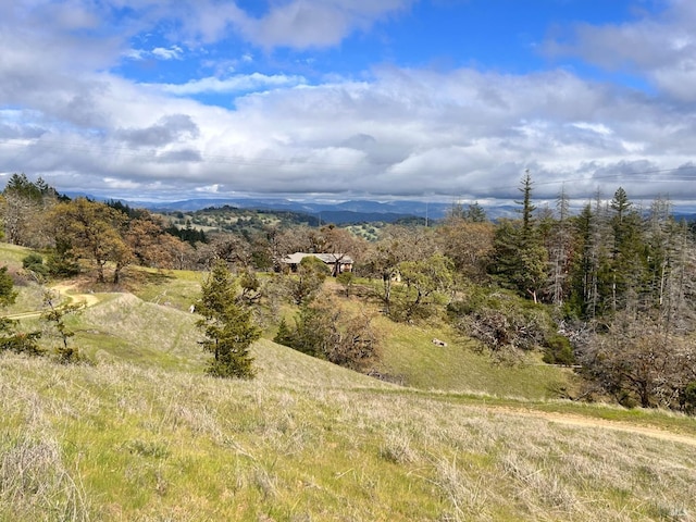 8401 Brandywine Dr, Ukiah, CA 95482 - property view of mountains with a rural view