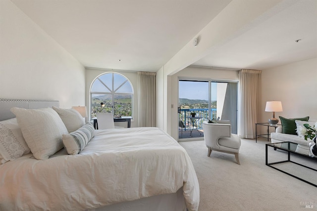 bedroom with access to exterior, multiple windows, and light carpet