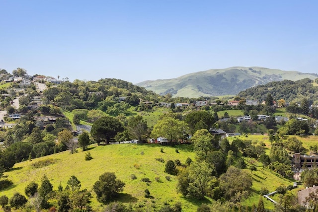 mountain view
