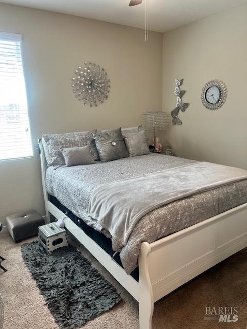 carpeted bedroom with multiple windows