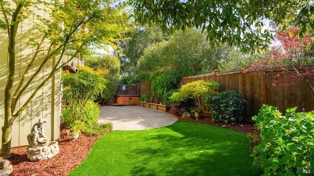 view of yard with a patio area and a fenced backyard