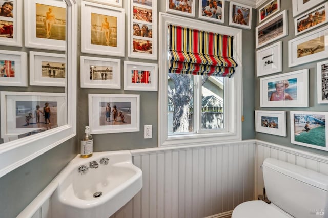 bathroom with wainscoting, toilet, and a sink