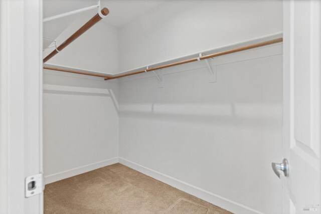spacious closet with carpet floors