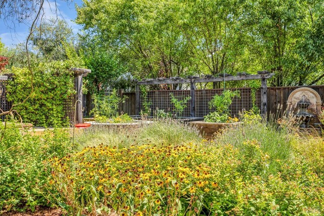 218 Saffron Ct, Napa, CA 94559 - view of yard with fence