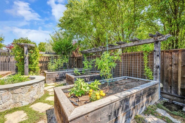 218 Saffron Ct, Napa, CA 94559 - view of yard with a garden and fence