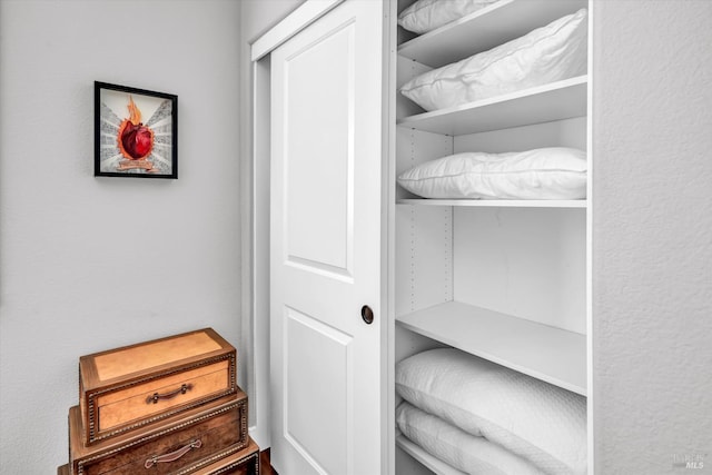 view of closet