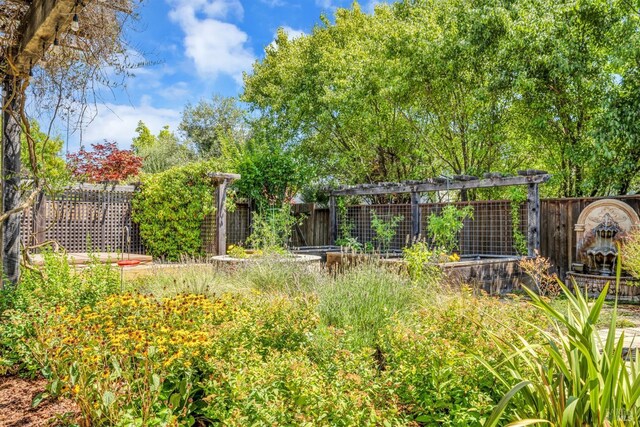 218 Saffron Ct, Napa, CA 94559 - view of fenced backyard