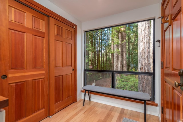 foyer entrance featuring light wood-style floors