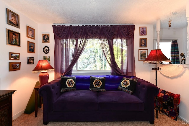 sitting room featuring baseboards, a textured ceiling, and carpet