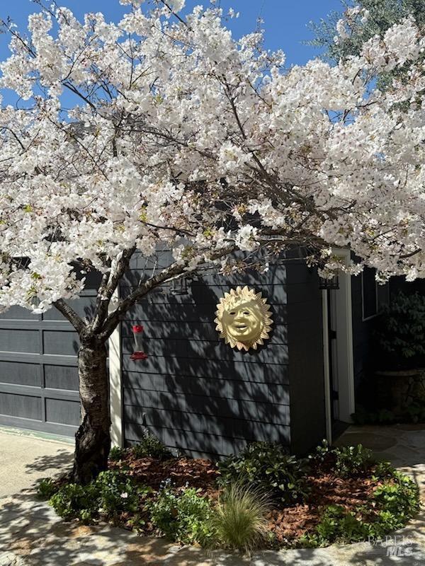 1133 Seminary St, Napa, CA 94559 - view of home's exterior with fence, driveway, and a garage