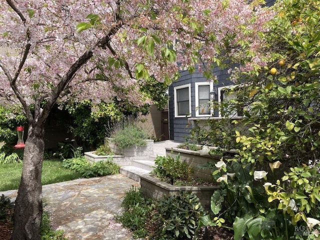1133 Seminary St, Napa, CA 94559 - view of home's exterior
