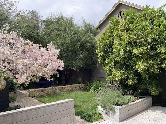 view of yard with a vegetable garden
