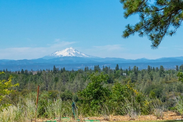 property view of mountains with a wooded view