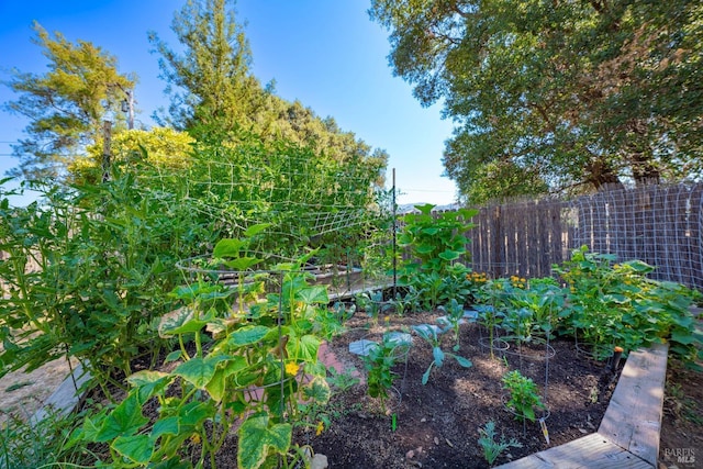 view of yard featuring a vegetable garden and fence