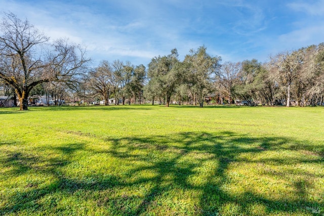 view of property's community with a lawn