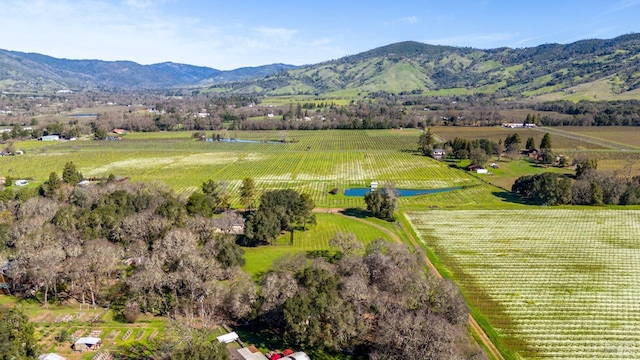 aerial view featuring a rural view and a mountain view