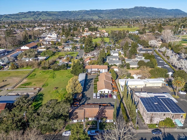 drone / aerial view featuring a mountain view and a residential view