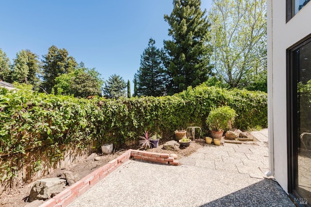 view of yard with a fenced backyard and a patio