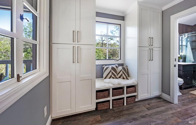 4071 Bones Rd, Sebastopol, CA 95472 - kitchen featuring ornamental molding, dark wood-style flooring, a sink, a chandelier, and white cabinetry