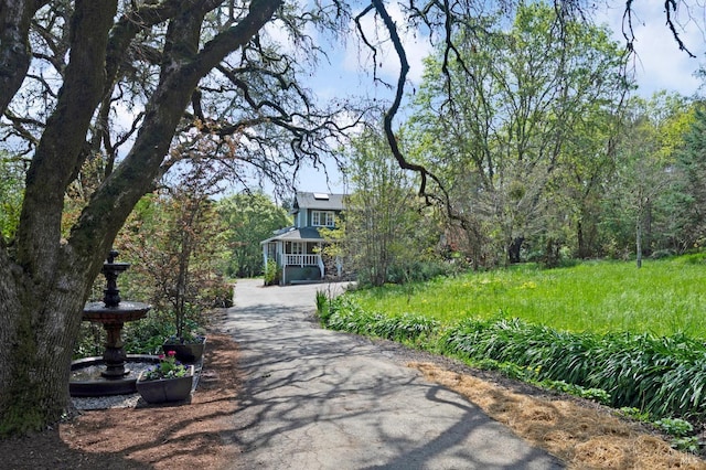 4071 Bones Rd, Sebastopol, CA 95472 - view of yard featuring a view of trees