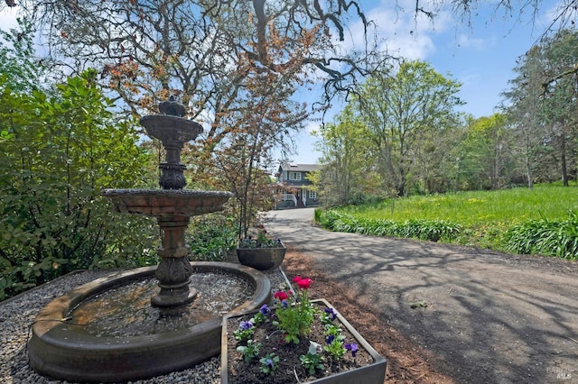 4071 Bones Rd, Sebastopol, CA 95472 - view of community